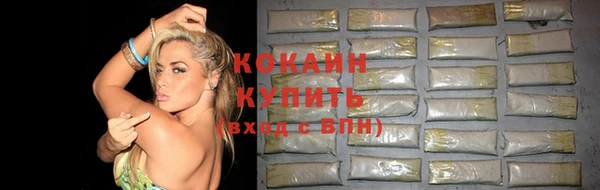 дмт Лабытнанги