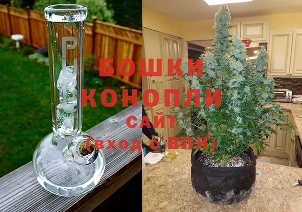 эйфоретик Кукмор