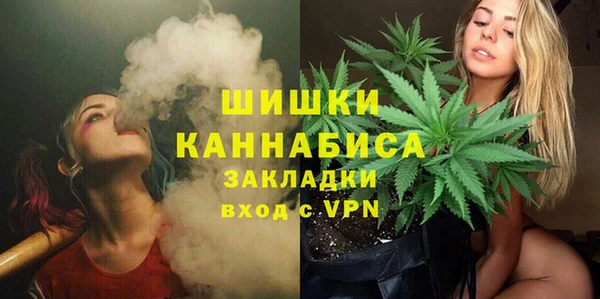 спиды Ладушкин