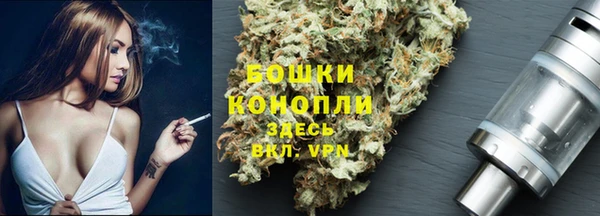 спиды Ладушкин